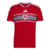 Wales Pelipaita Koti MM-Kisat 2026 Wales Pelipaita Koti MM-Kisat 2026